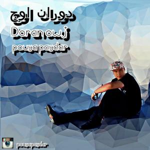   پویا پایدار