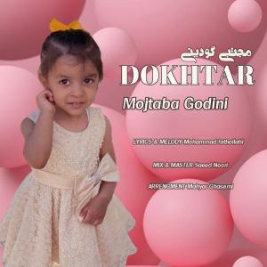   مجتبی گودینی