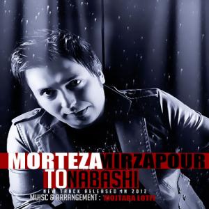   مرتضی میرزاپور