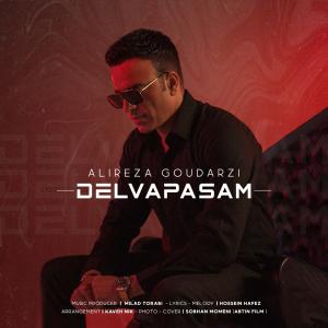   علیرضا گودرزی