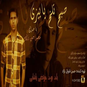   محمد حسن زاده