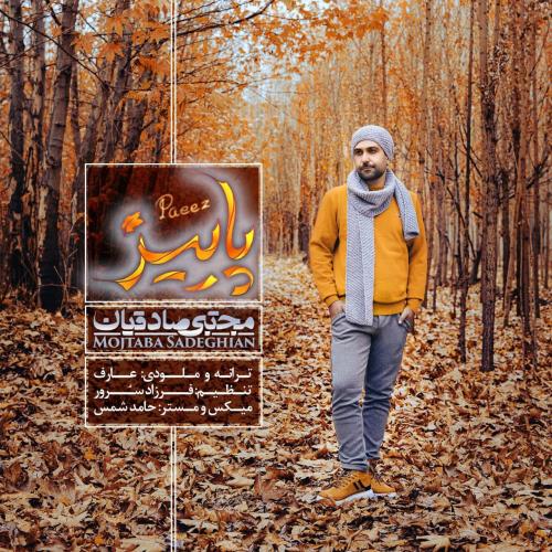   مجتبی صادقیان