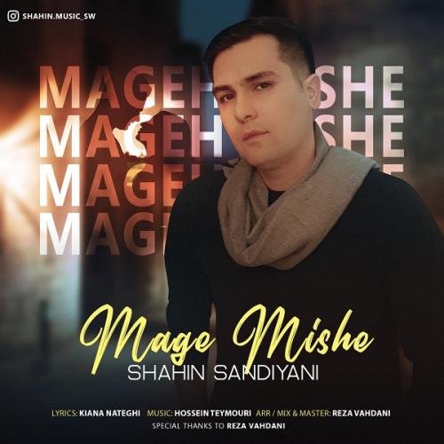   شاهین سندیانی