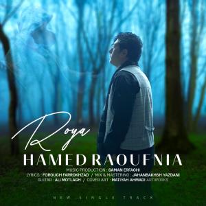   حامد رئوف نیا