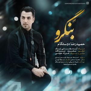   حمیدرضا دوستکام