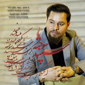   سعید حکیم زاده