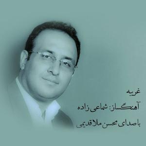   محسن ملا قدیمی