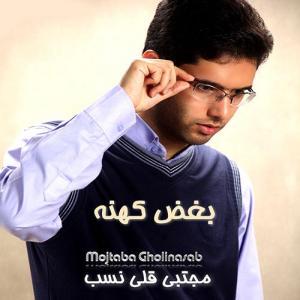   مجتبی قلی نصب