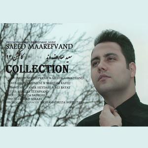   سعید معارف وند