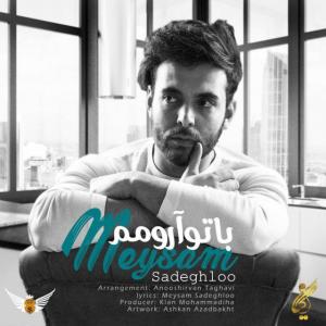   میثم صادقلو