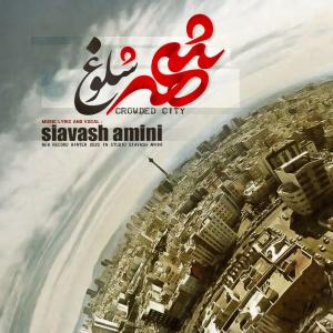   سیاوش امینی