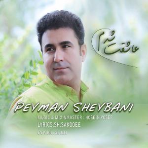   پیمان شیبانی