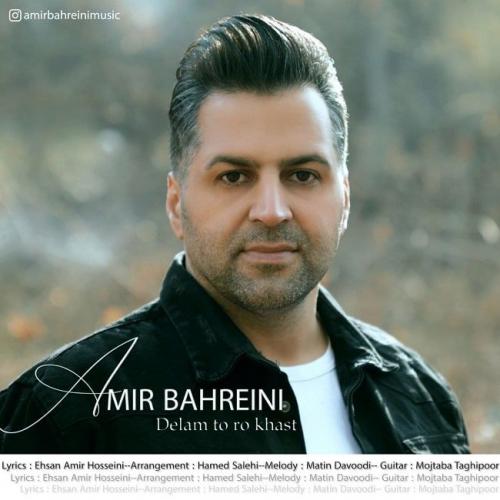   امیر بحرینی