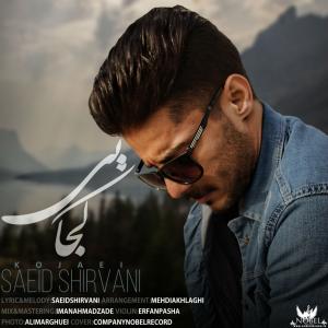   سعید شیروانی