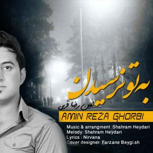   امین رضا قربی