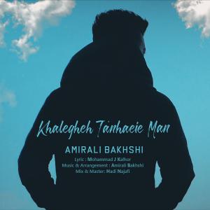   امیر علی بخشی