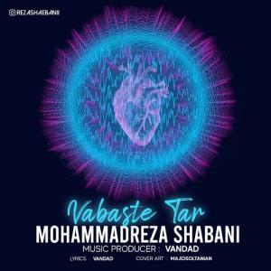   محمدرضا شعبانی