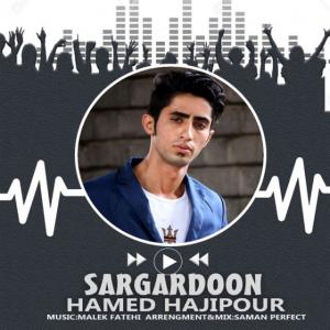   حامد حاجی پور