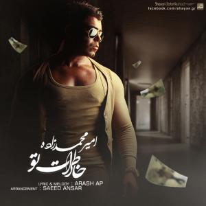   امیرمحمد زاده