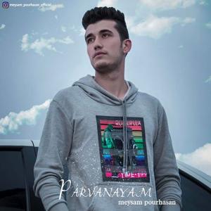   میثم پورحسن