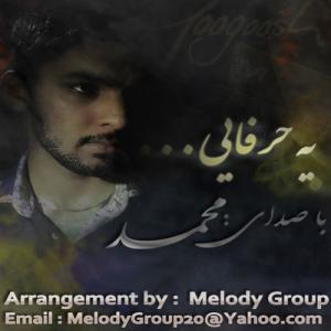   شاهین و محمد