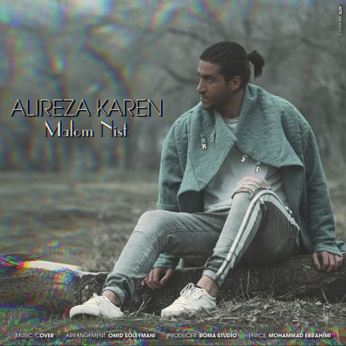   علیرضا کارن