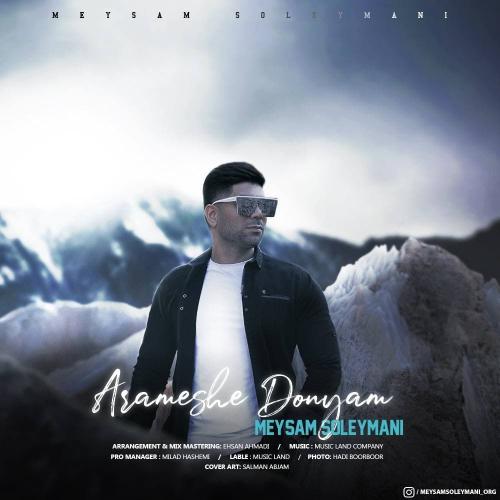   میثم سلیمانی