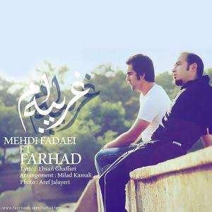   مهدی فدایی و فرهاد