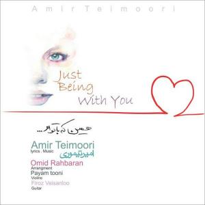   امیر تیموری