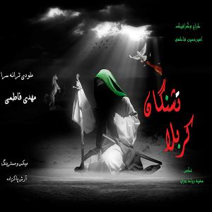   مهدی فاطمی
