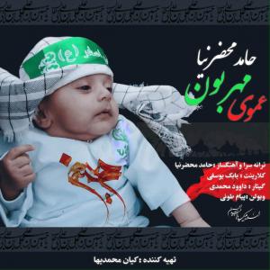   حمید مهزرنیا