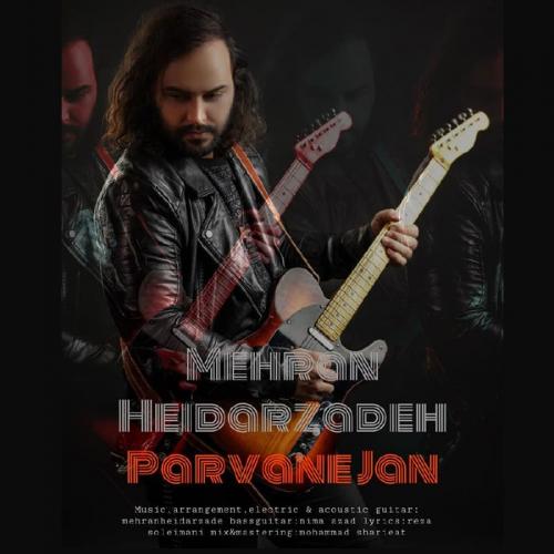   مهران حیدرزاده