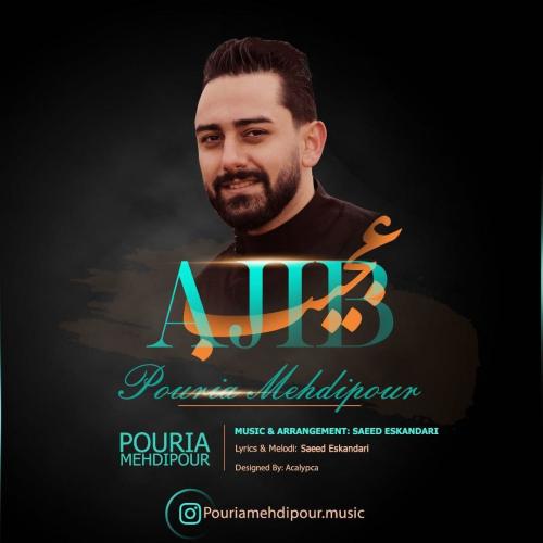   پوریا مهدی پور