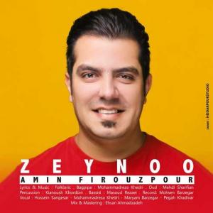   امین فیروزپور