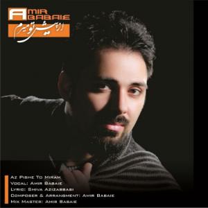   امیر بابایی و ضیا