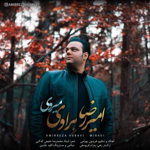   امیررضا هراوی