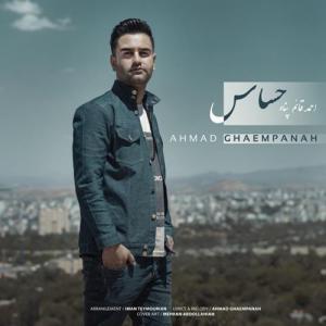   احمد قائم پناه