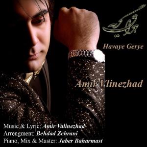   امیر ولی نژاد