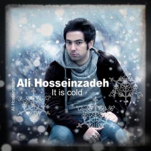   علی حسین زاده