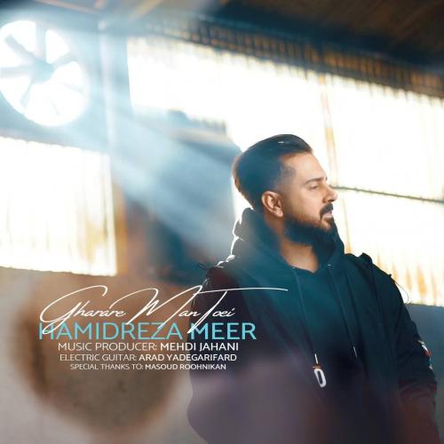   حمیدرضا میر