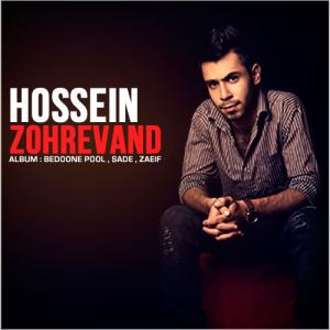   حسین زهره وند