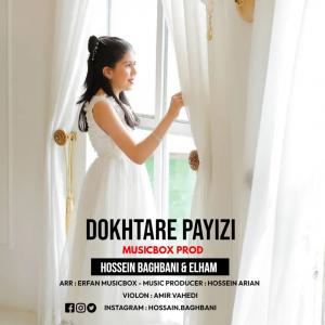   حسین باغبانی