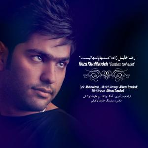   رضا خلیل زاده