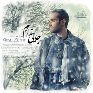   علیرضا زرین