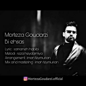   مرتضی گودرزی