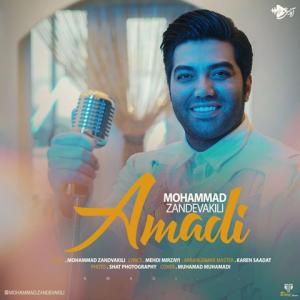   محمد زند وکیلی