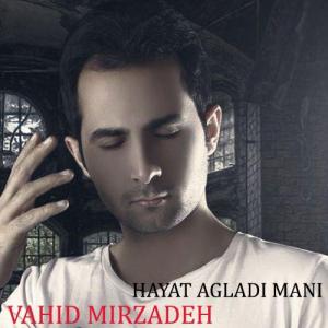   وحید میرزاده