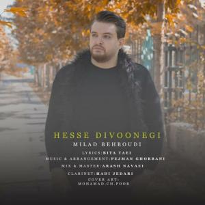   میلاد بهبودی