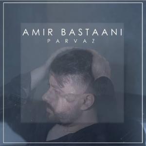   امیر باستانی