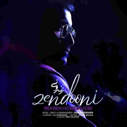   محسن حسینی ادیب